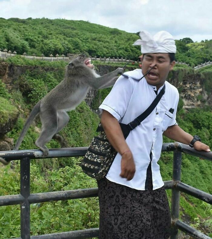 Monkey grabbing a man's glasses in a funny, interesting, and weird pic taken at the perfect time outdoors near a green cliff.