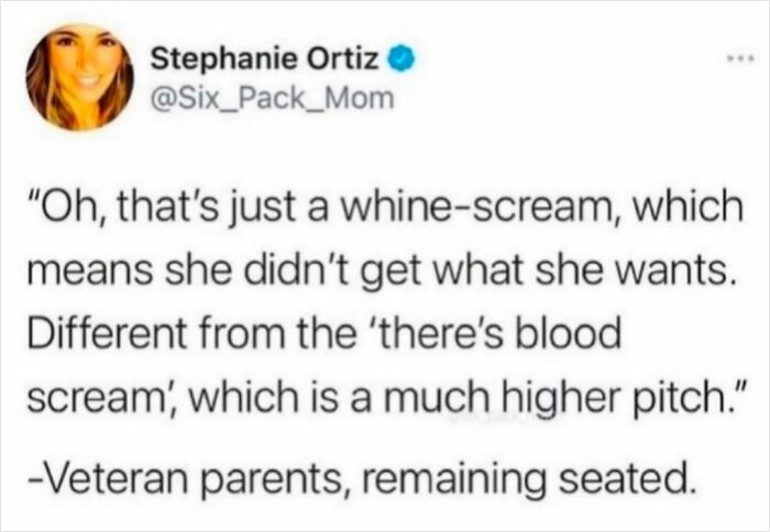 Parent meme humor explaining different child screams with relatable quotes for parents managing home chaos.