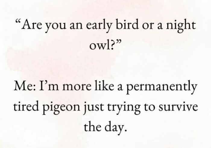 Funny meme text about being a tired pigeon trying to survive the day, featured in hilarious memes collection.