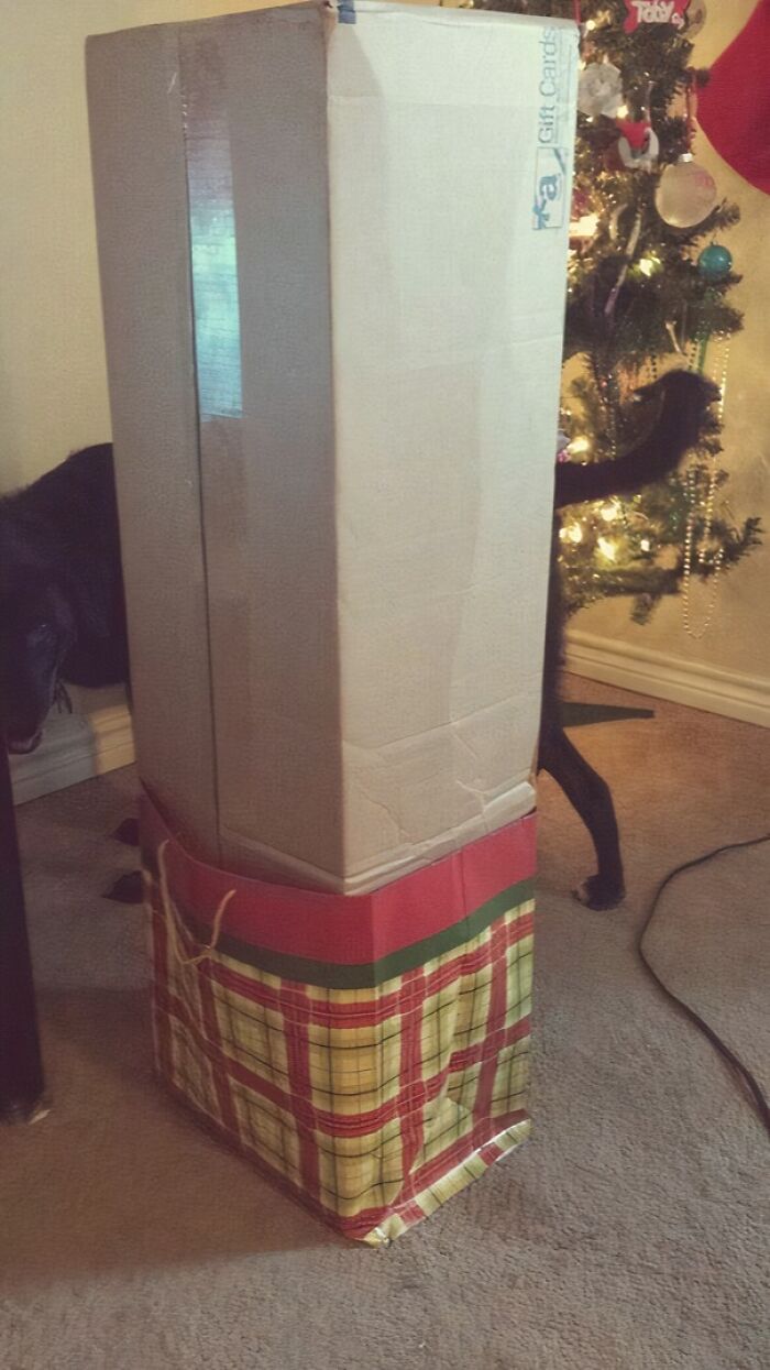 Tall gift box partially wrapped with Christmas paper at the bottom next to a decorated Christmas tree and cat tail.