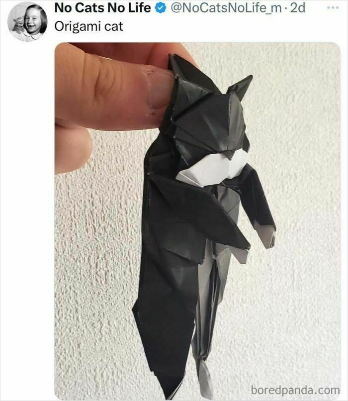Origami cat held by fingers, showcasing a detailed black and white paper craft in a close-up view.
