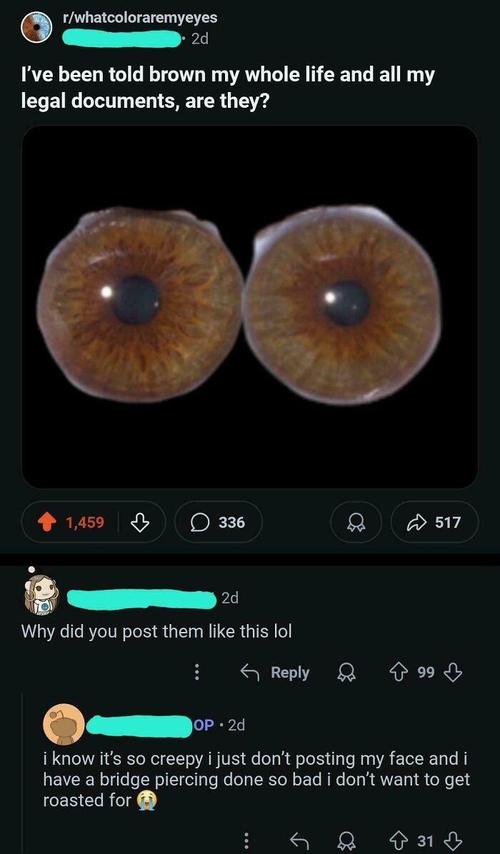 Reddit post showing close-up image of brown eyes with comments, part of hilarious posts meant to make you laugh online.