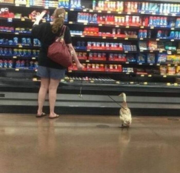 Woman shopping with a duck on a leash inside a Walmart store aisle filled with groceries.
