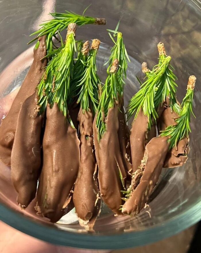 Pine tree branches dipped in chocolate in a glass bowl, an unusual food pic that deserves to be shamed online.