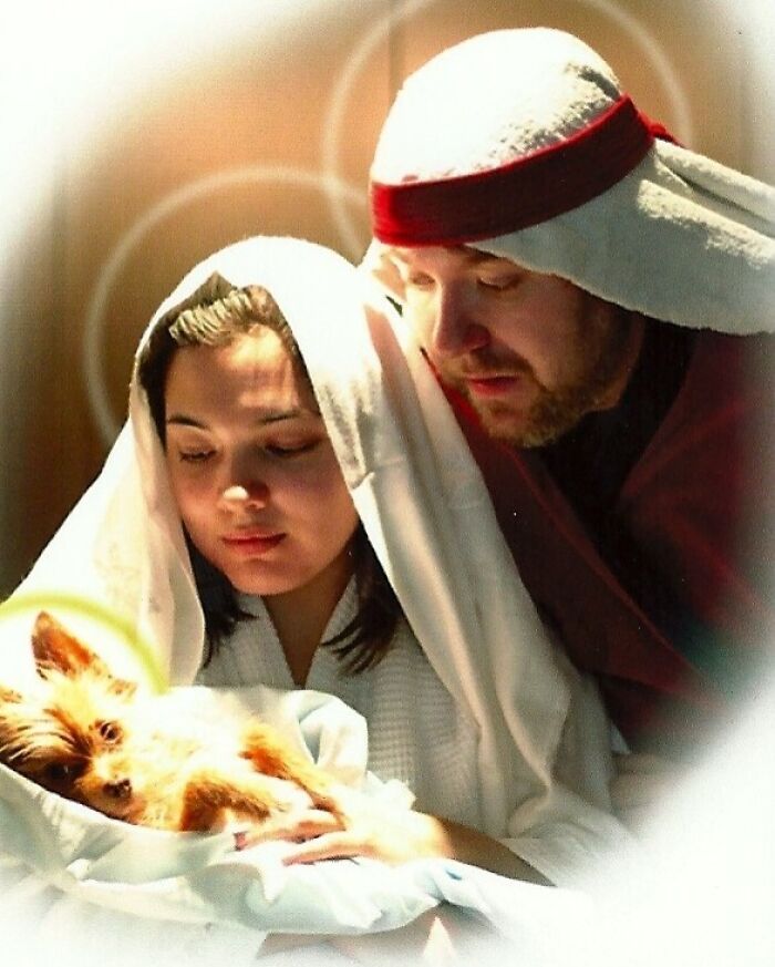 Awkward family Christmas photo featuring a couple dressed in nativity costumes holding a small dog with halo effect.