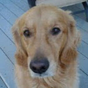 patcoffeywatters avatar