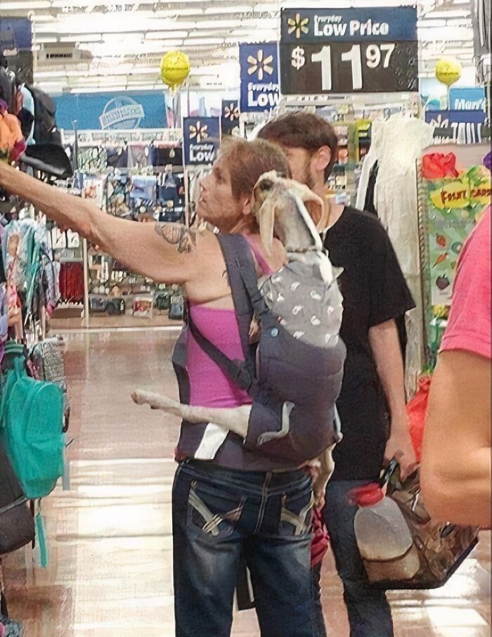 Woman carrying dog in a baby carrier while shopping in a Walmart store with low price signs around.