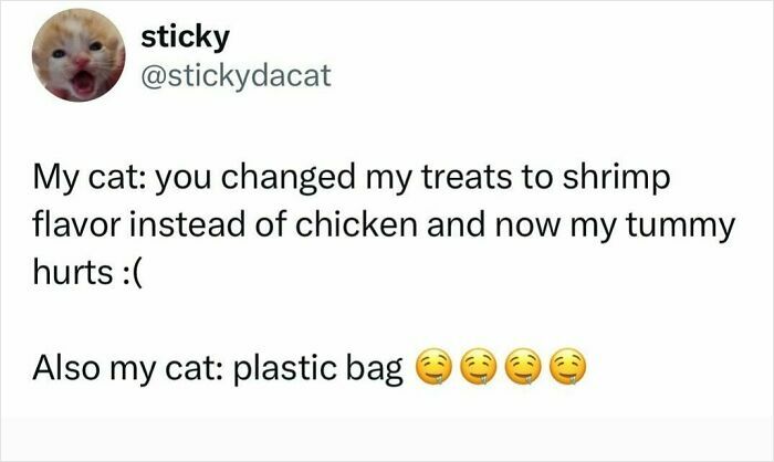 Tweet about a cat reacting to a change in treats and fascination with a plastic bag, showcasing cats being weird little guys.