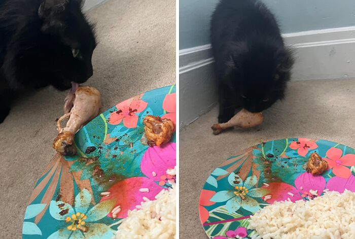 Black cat caught stealing chicken drumstick from a colorful plate of rice, showcasing sneaky pets trying to steal food.