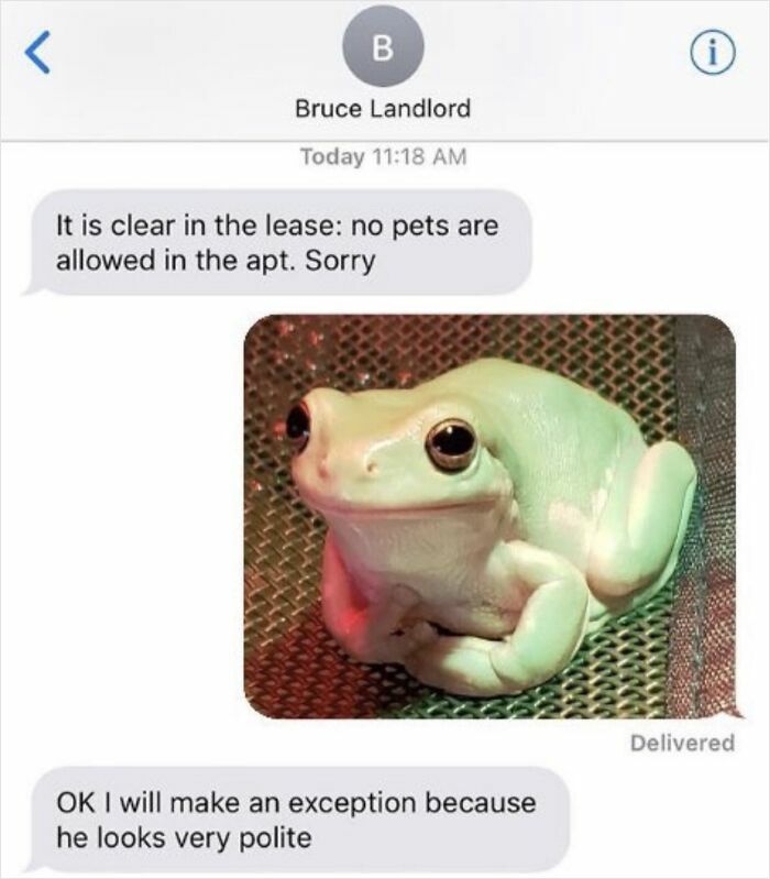Text message exchange about no pets allowed, followed by a photo of a polite-looking frog, part of hilarious posts to make you laugh.