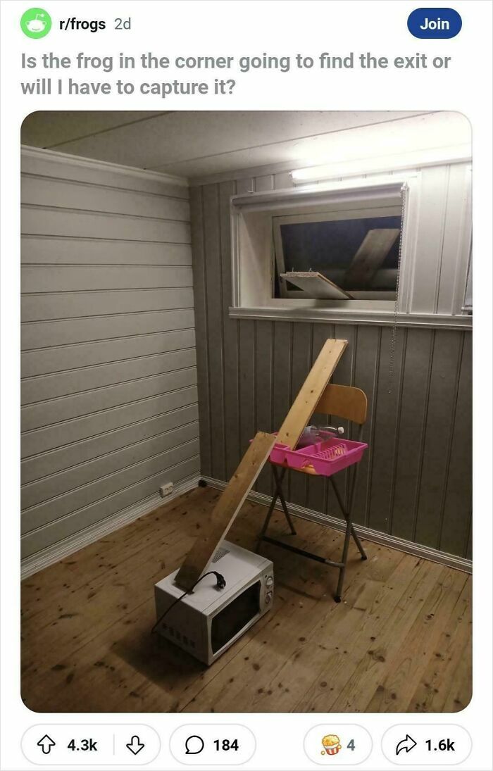 Improvised frog escape setup with microwave, wooden ramp, chair, and window, featured in hilarious posts to make you laugh.