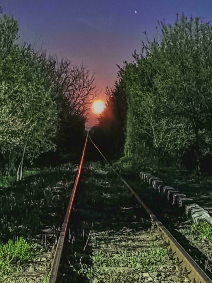 Railway tracks at dusk framed by trees, creating a creepy liminal space that looks like the backrooms with an eerie glowing light ahead.