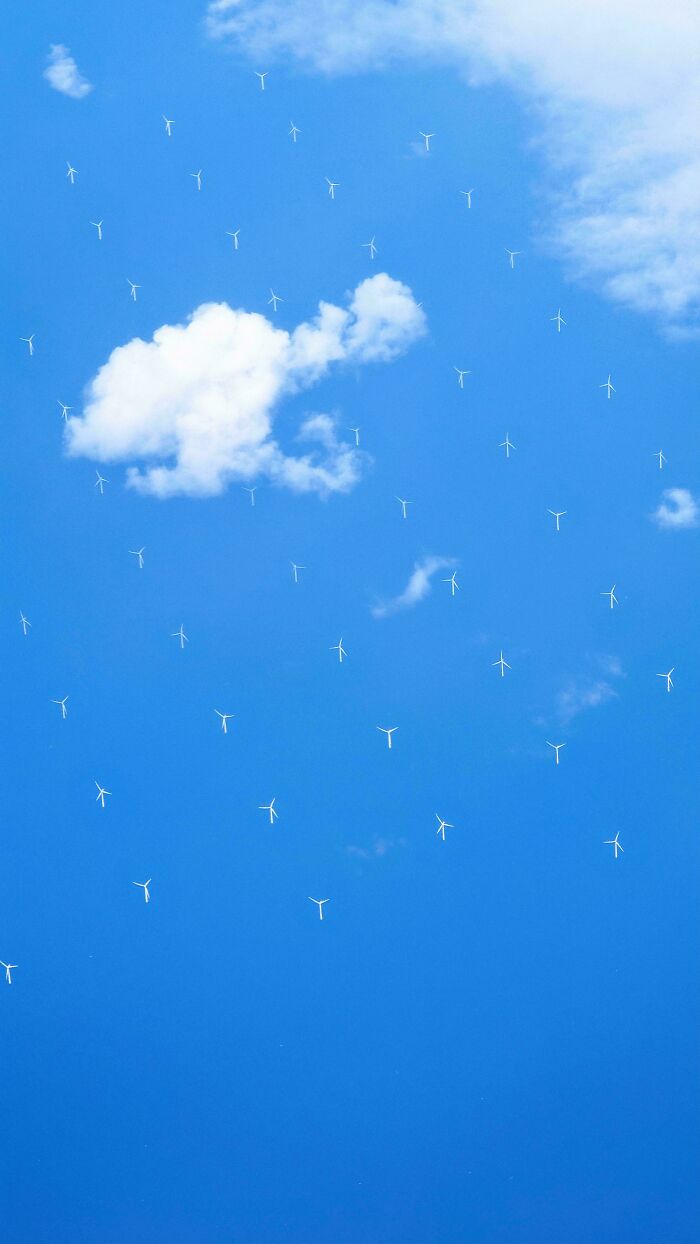 A bright blue sky with scattered clouds and numerous small wind turbines creating a surreal liminal space effect.