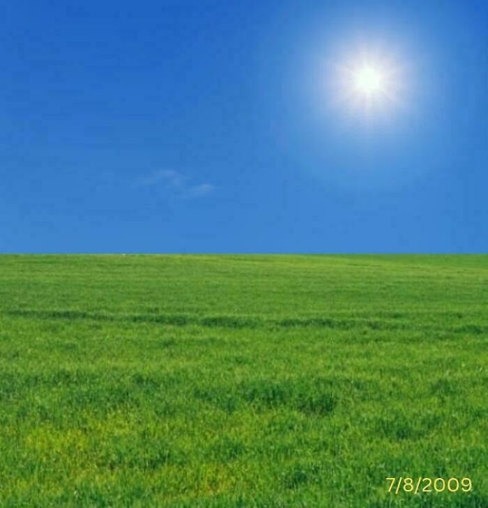 Bright sunny day over an empty green field resembling a liminal space often seen in creepy Backrooms photos.