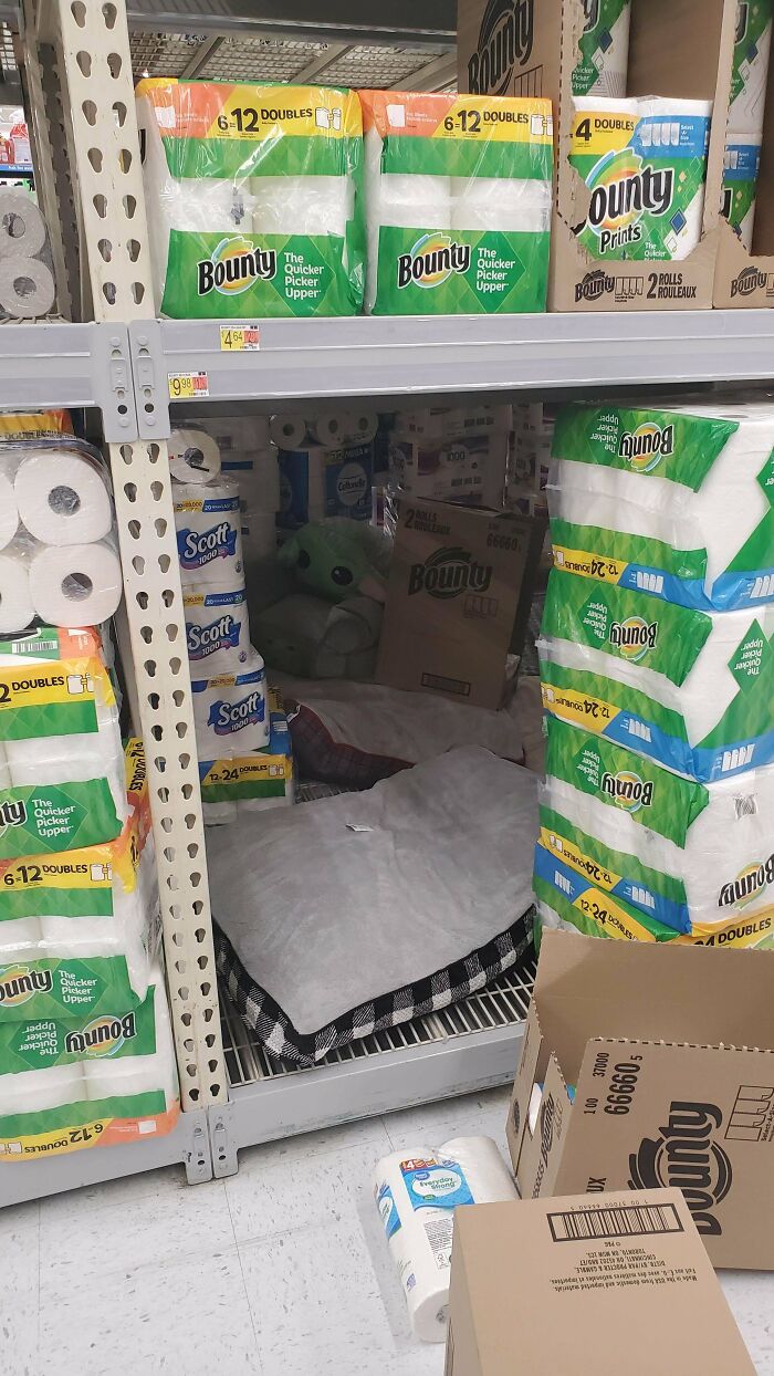 Stack of paper towels on Walmart shelves with a hidden person resting inside, showcasing funny Walmart people moments.