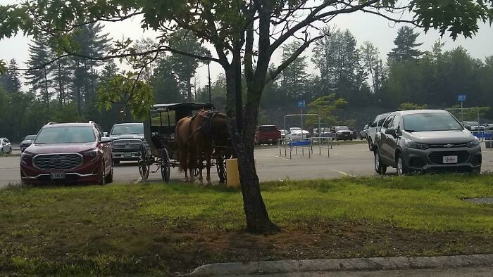 Horse-drawn carriage parked between cars in a Walmart parking lot, showcasing Walmart people in a confusing scene.