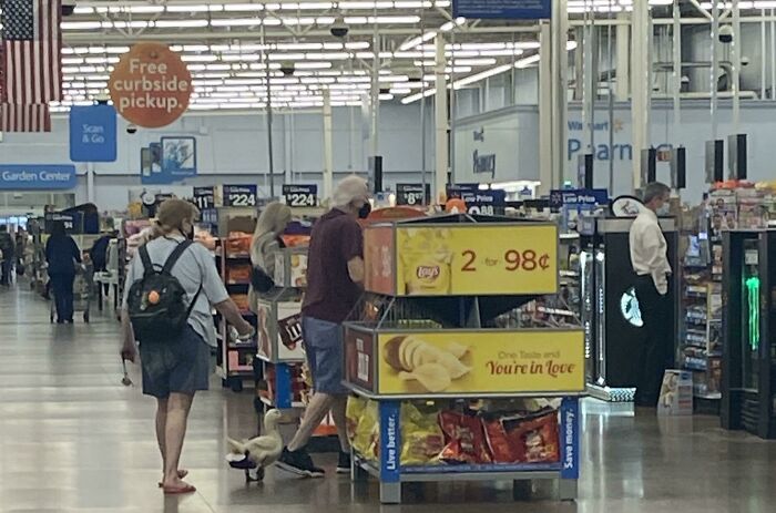 Customers and unusual Walmart people shopping with a live duck inside a brightly lit Walmart store aisle.