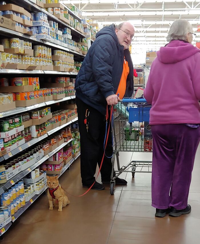 Man in Walmart aisle holding a shopping cart and walking an orange cat on a leash among Walmart people.