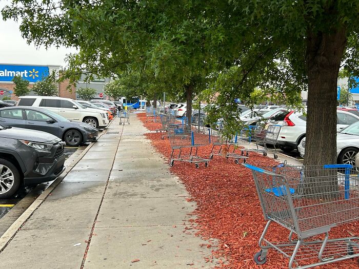 Walmart parking lot with abandoned shopping carts scattered under trees, example of next-level jerks