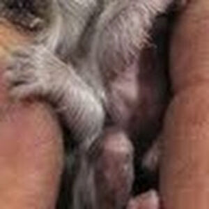 karenheiner_1 avatar