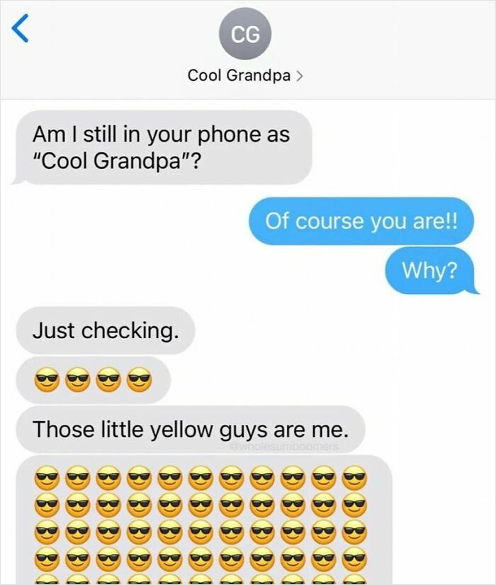 Text message exchange showing a funny and wholesome conversation with emojis, perfect for sweet and wholesome pics.