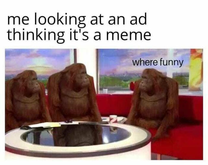 Three orangutans sitting around a table with text about confusing an ad for a funny meme in relatable disassociate humor.