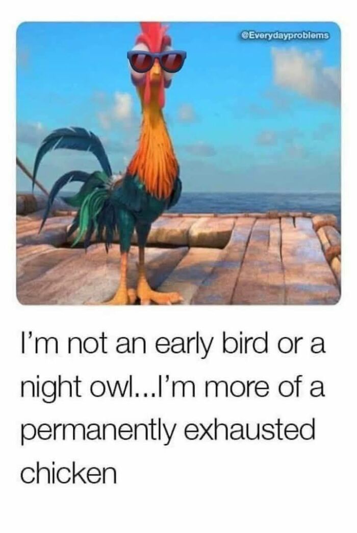 Animated rooster wearing sunglasses on a dock with a funny caption, part of funny memes to help you disassociate.