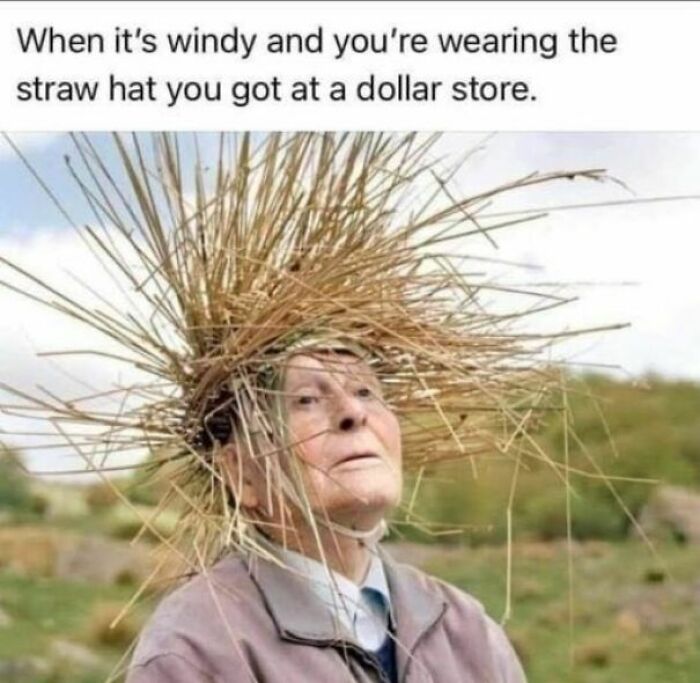 Elderly person wearing a straw hat with dry grass sticking out, a funny meme for disassociate in a fun way.