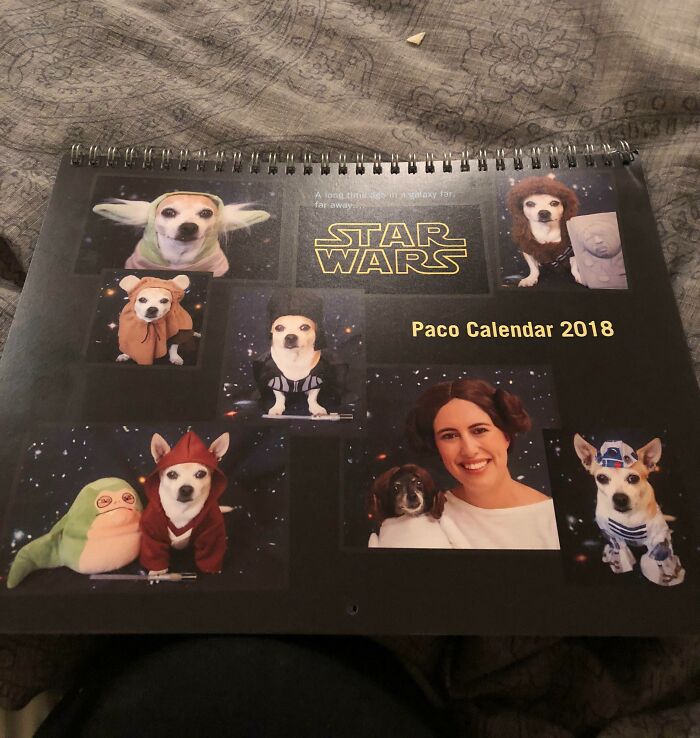 Star Wars themed 2018 calendar featuring dogs dressed as characters, a bizarre Christmas gift idea from the unusual gift collection.