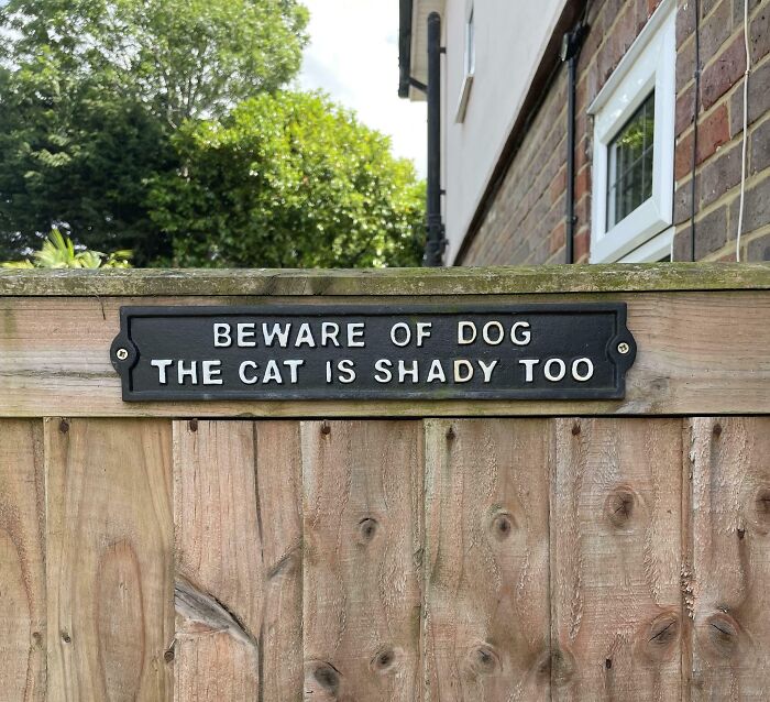 Funny Pictures From 2025 humorous sign on wooden fence reading BEWARE OF DOG THE CAT IS SHADY TOO