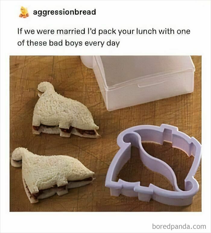 Two sandwiches shaped like bears with a bear-shaped sandwich cutter, a funny food meme about lunch ideas.