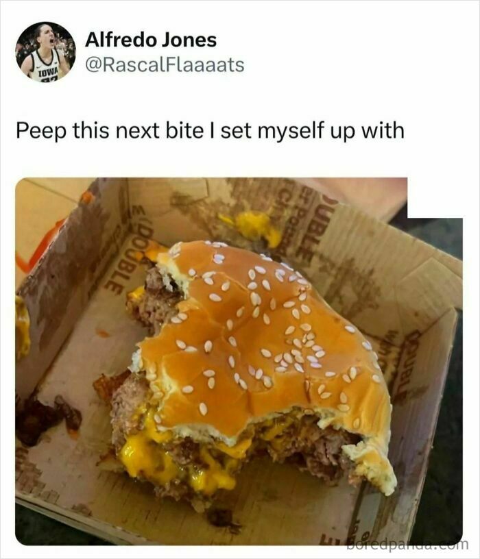 Hilarious food meme showing a half-eaten cheeseburger with melted cheese in a fast food box.
