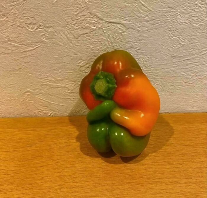 Uniquely shaped bell pepper with green and orange colors standing on a wooden surface, showcasing interesting natural variation.