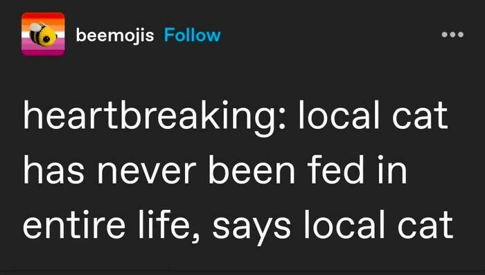 Text post from beemojis humorously stating a heartbreaking local cat has never been fed, fitting cat memes and hilarious posts theme.