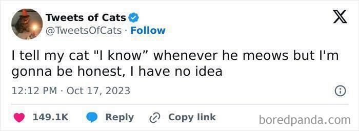 Tweet from Tweets of Cats humorously stating confusion about understanding a cat’s meow, part of cat memes collection.