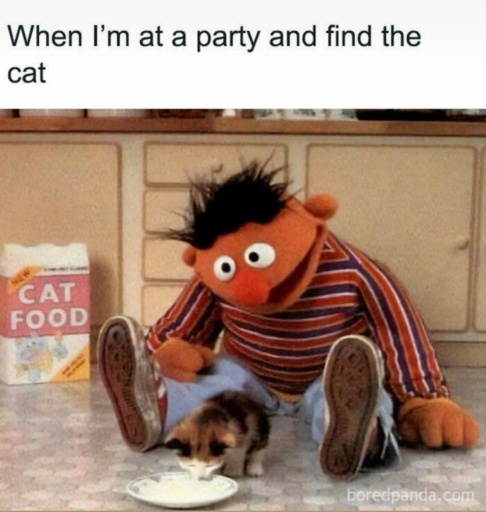 Muppet character sitting on floor watching a kitten drinking milk near a carton of cat food, cat memes humor.