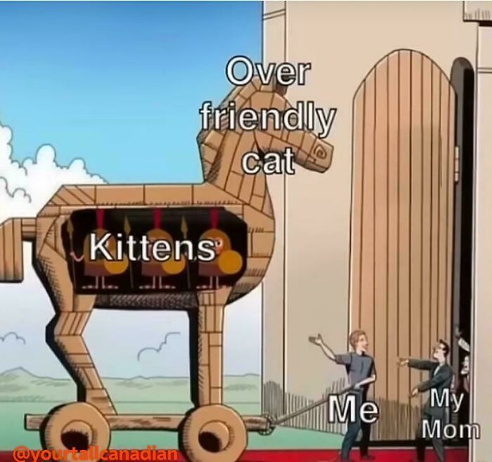 Wooden Trojan horse labeled over friendly cat with kittens inside, person labeled me pulling it toward people labeled my mom, cat memes humor.