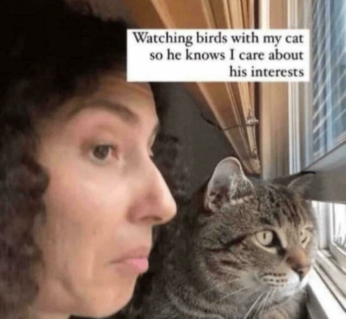 Person and tabby cat looking out window, a funny cat meme showing bond and shared interests with cat memes.