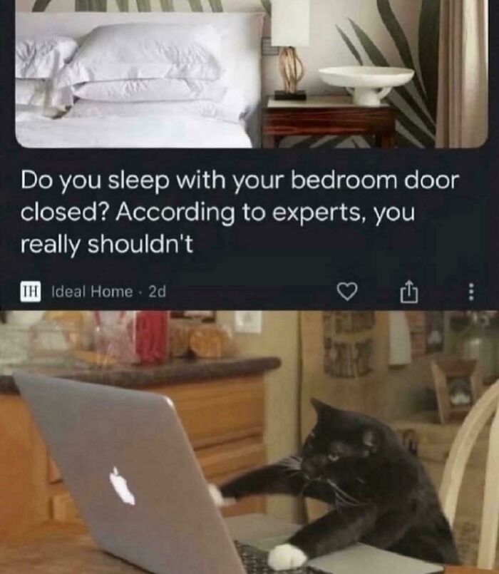 Black cat using a laptop in a kitchen setting paired with a humorous meme about sleeping with bedroom doors closed cat memes.