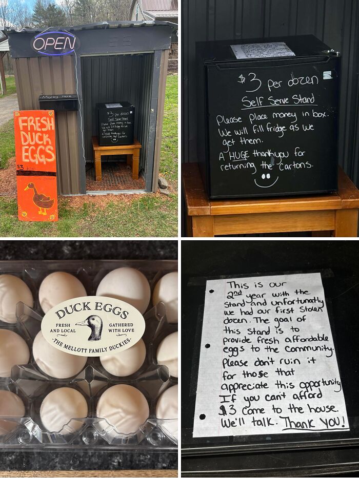 Self-serve roadside duck egg stand, $3/dozen, note asking not to steal, duck egg carton — next-level jerks