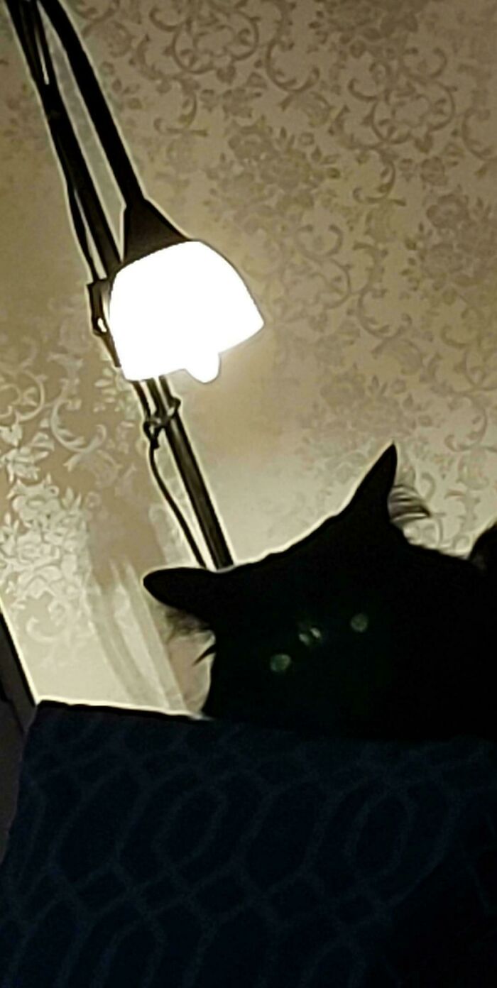 Black cryptid cat silhouette with glowing eyes peeking over a dark surface near a bright lamp indoors.
