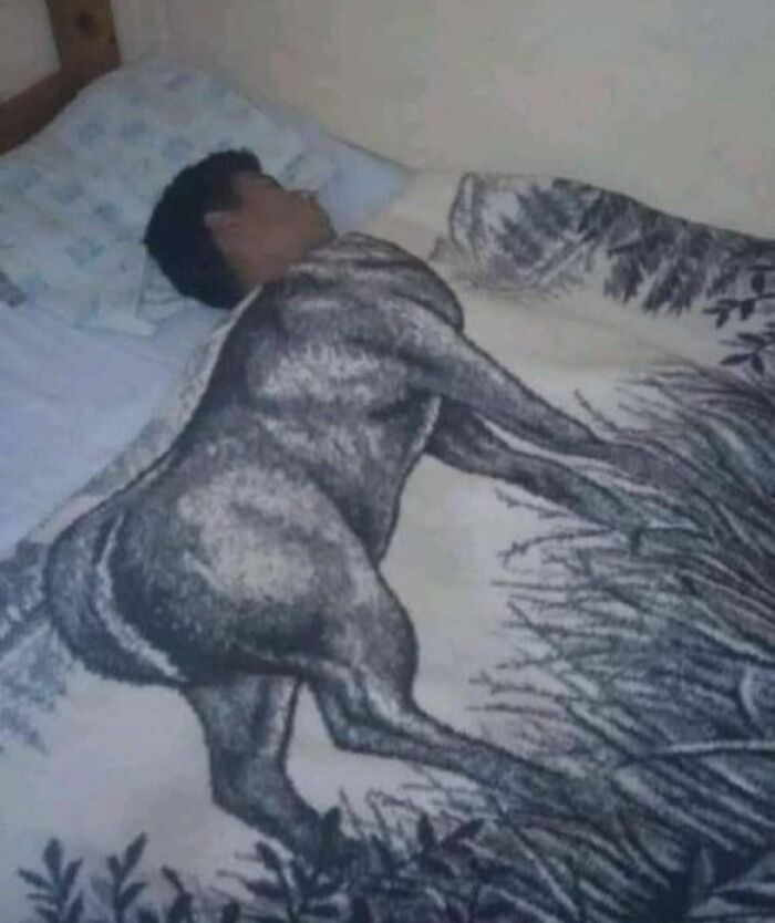 Person sleeping on a bed with a blanket designed as a centaur, creating a humorous Eastern Europe meme.