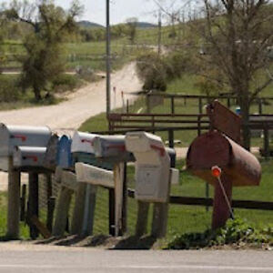 suzanneheitzman avatar