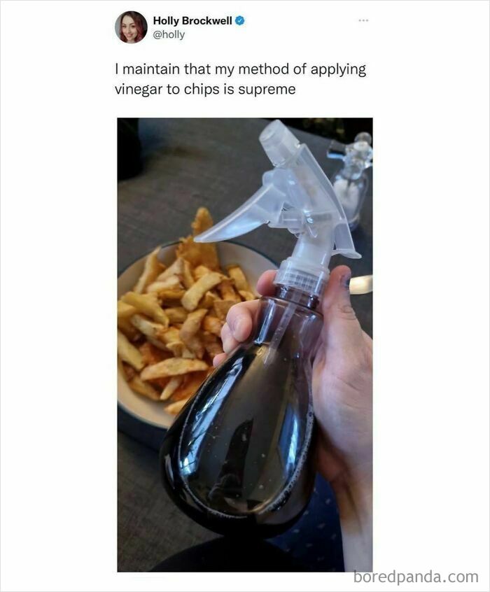 Hand holding a spray bottle filled with vinegar to season fries, featuring a funny food meme about applying vinegar to chips.