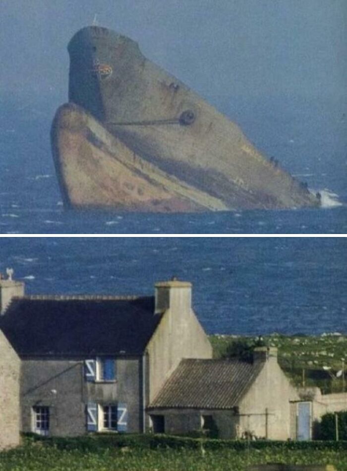 Rusty shipwreck emerging from the ocean near coastal houses, an interesting sight people shared on the internet.