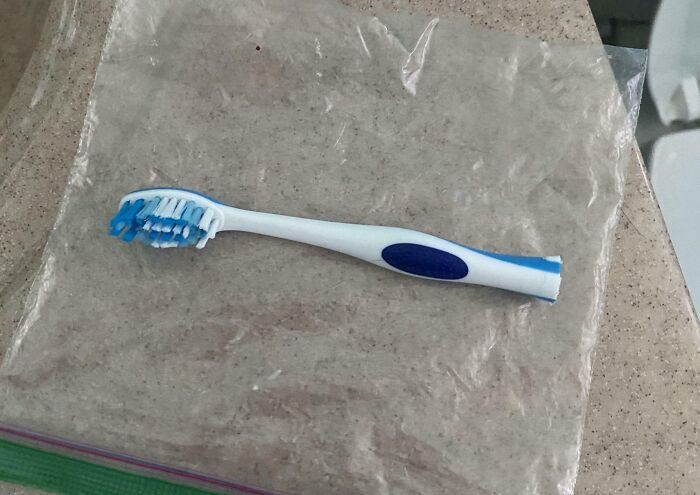Toothbrush with blue and white bristles on a clear plastic bag, illustrating everyday sibling life moments.
