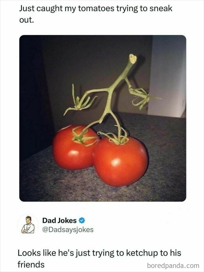 Two tomatoes on a counter with a vine that looks like a walking figure in a funny dad joke about ketchup and friends.