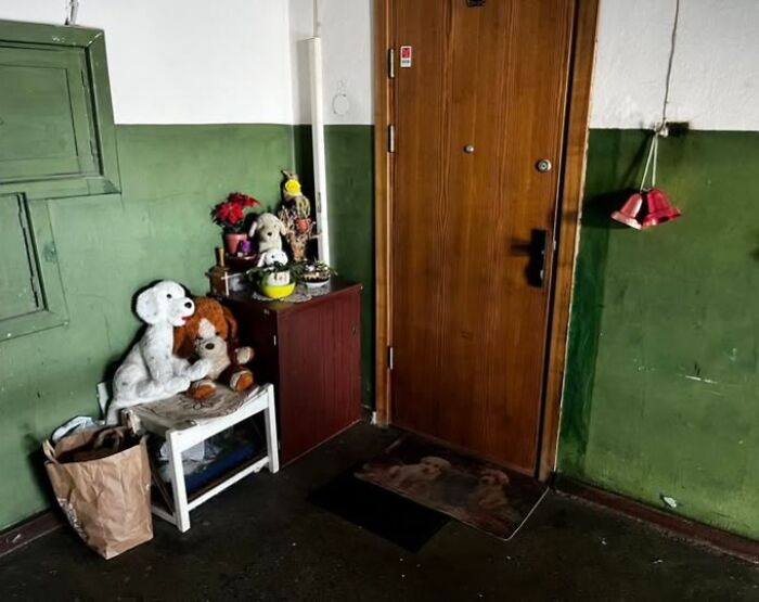 Stuffed animals and holiday decor arranged by a wooden door in a Lithuanian apartment building hallway Christmas decoration