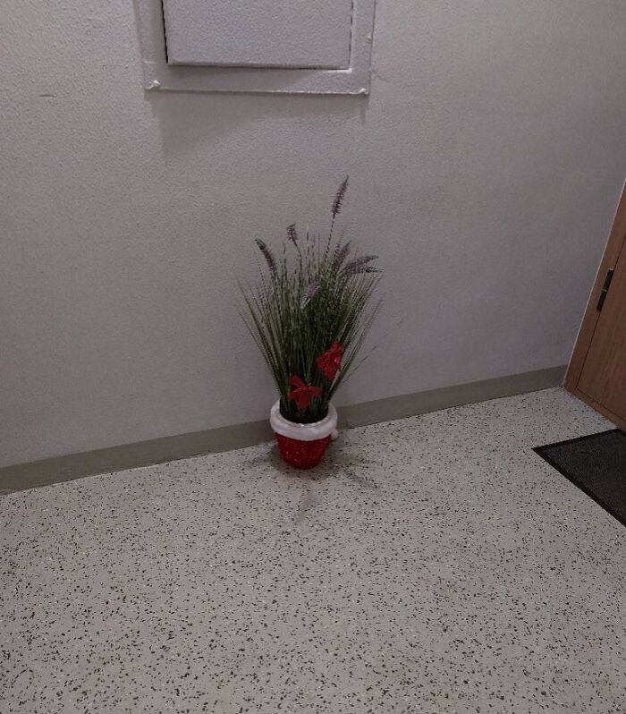 Potted plant with red bows placed on a speckled floor in a minimally decorated apartment corridor Christmas decoration