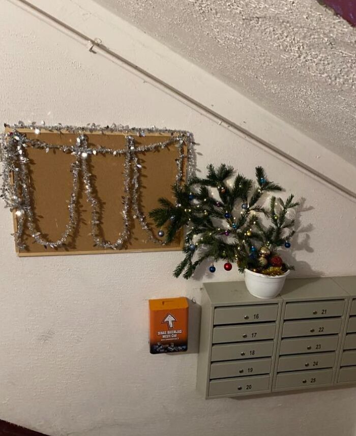 Small potted Christmas tree with lights and ornaments beside tinsel decorations on a bulletin board in a Lithuanian apartment building.